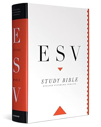 image of an ESV Bible